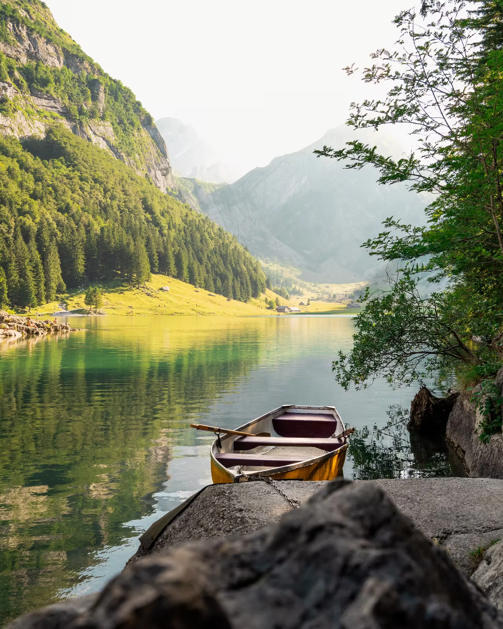 Alps — photo 12
