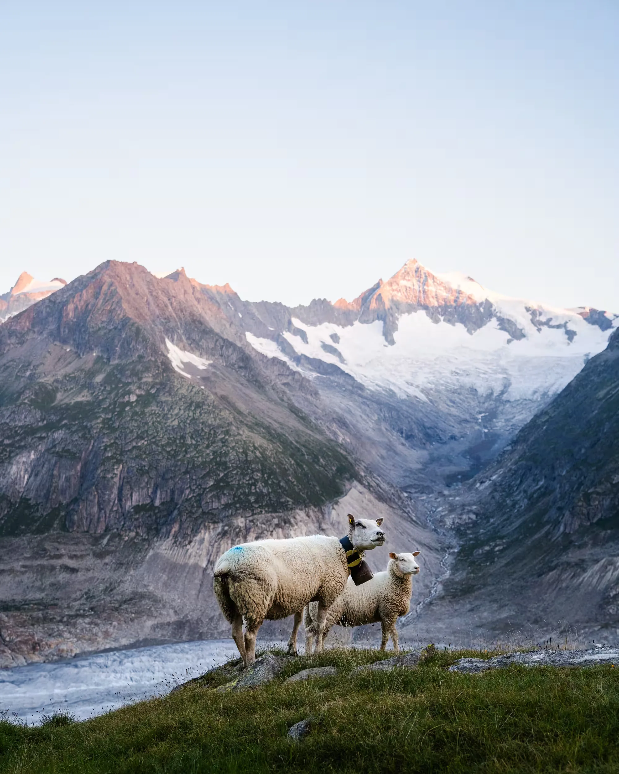 Alps — photo 8