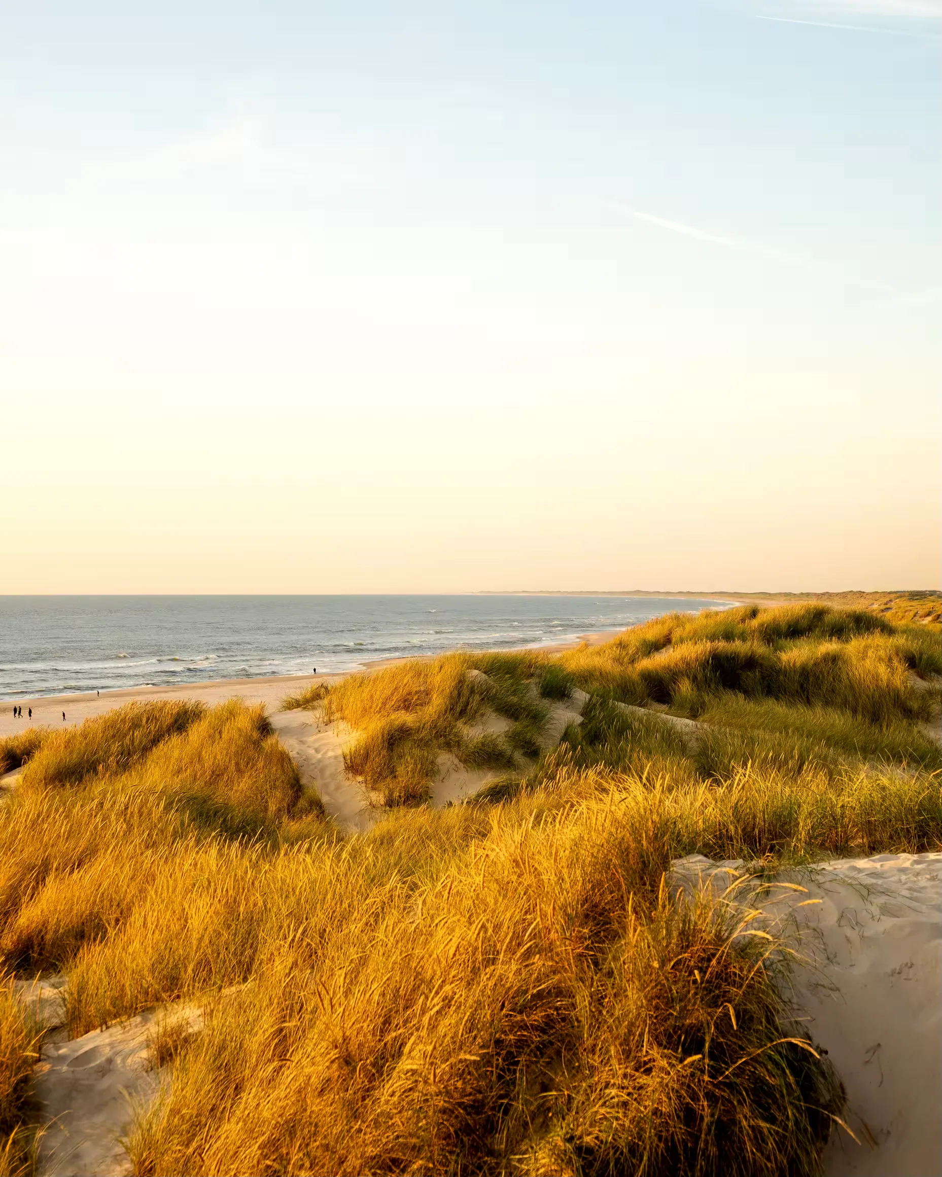 Coastline