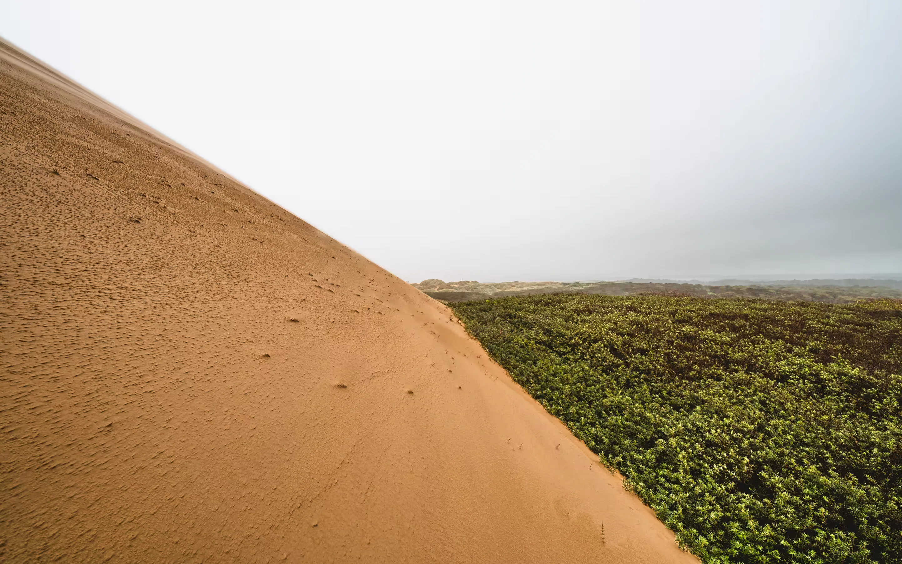 Coastline — photo 1