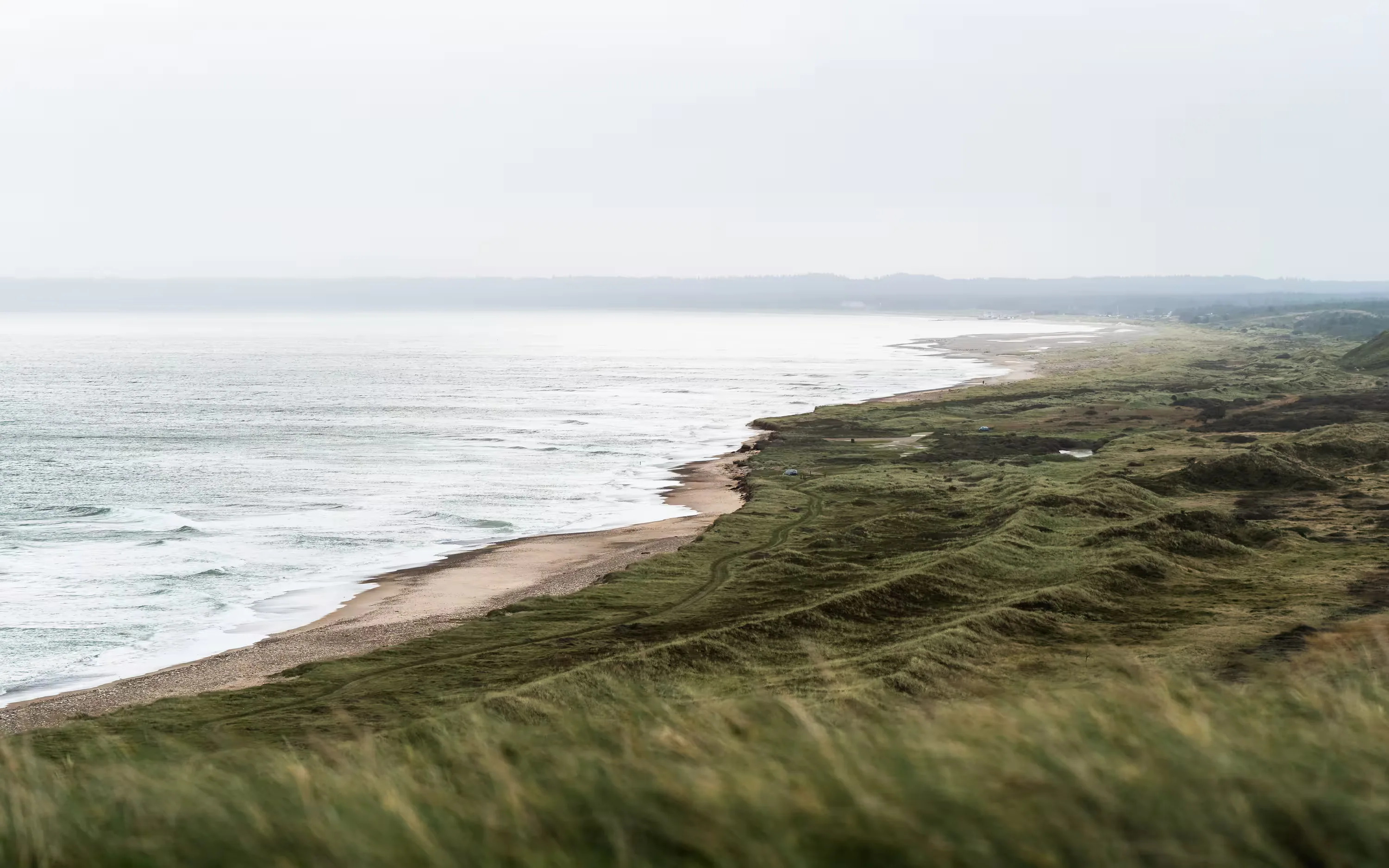 Coastline — photo 7