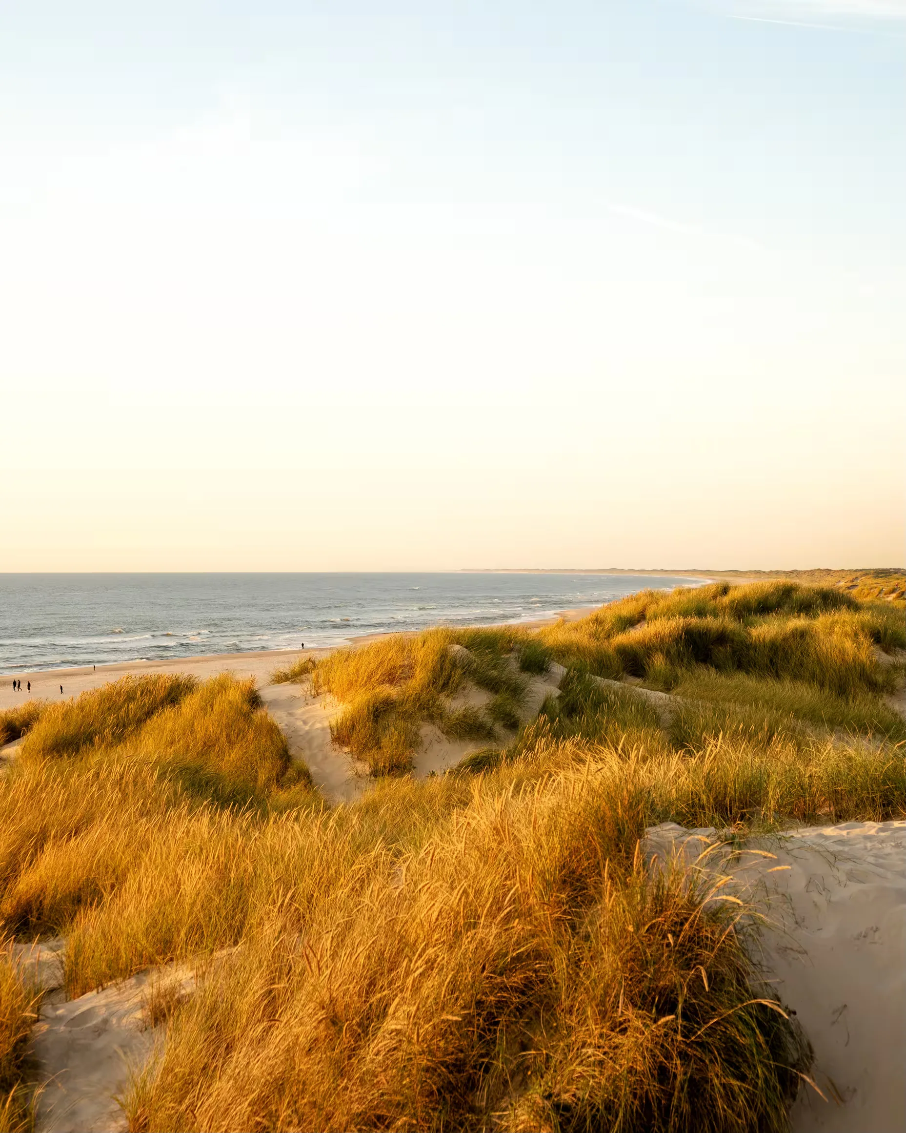 Coastline — photo 8