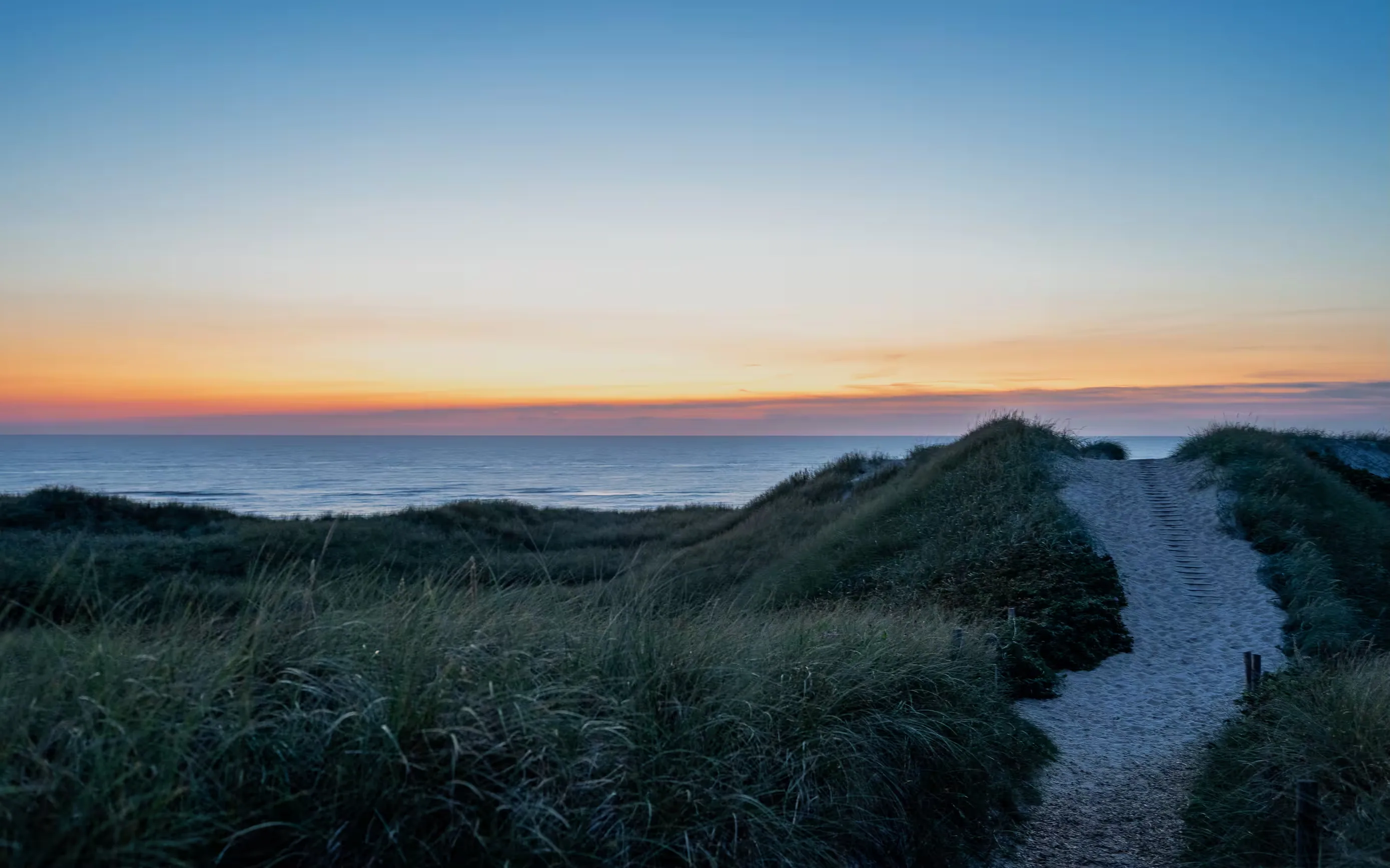Coastline — photo 10