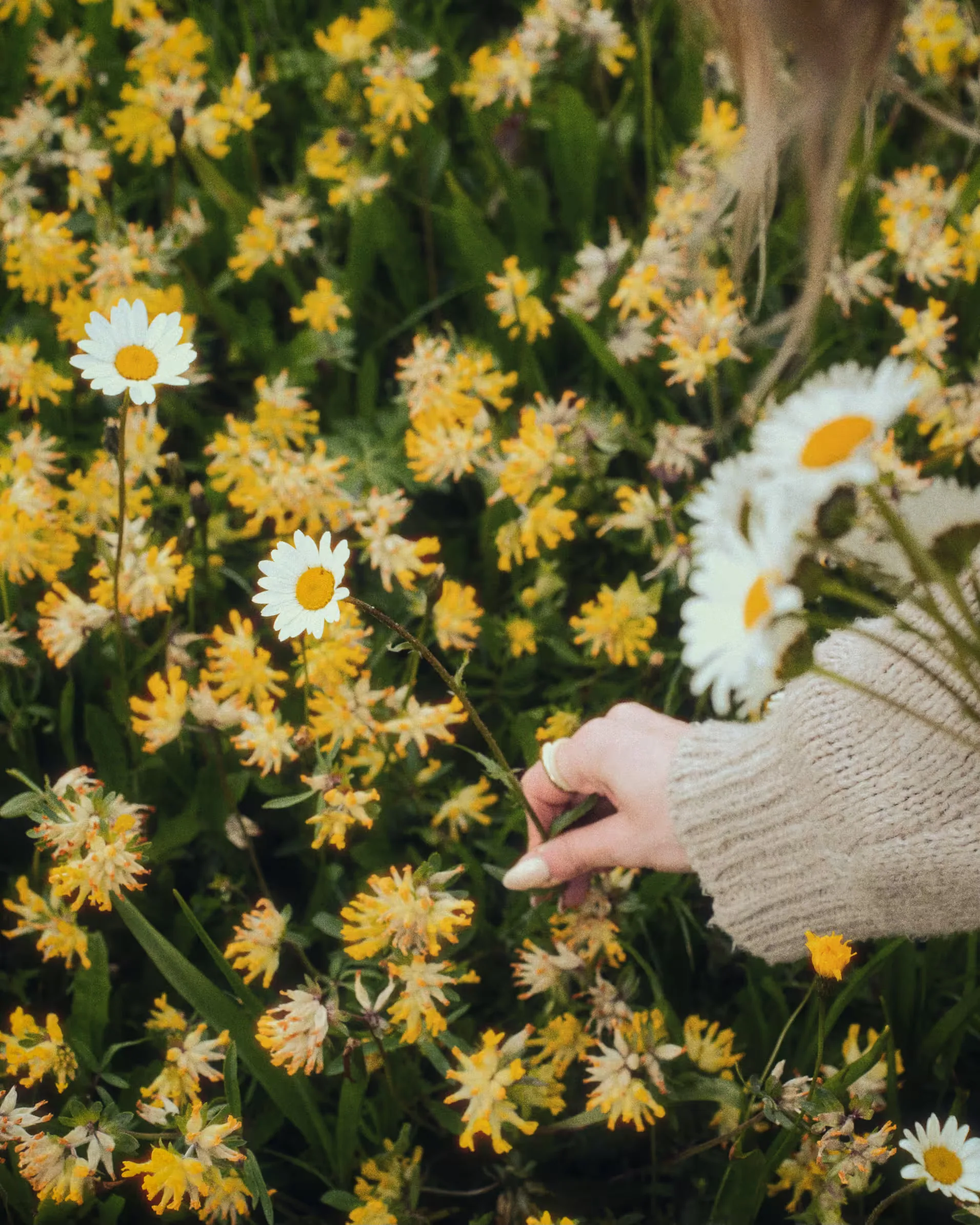 Thea — photo 4